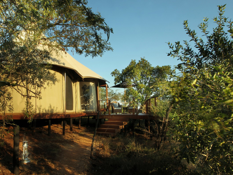 Thanda Tented Camp - Luxe Accommodatie KwaZulu Natal