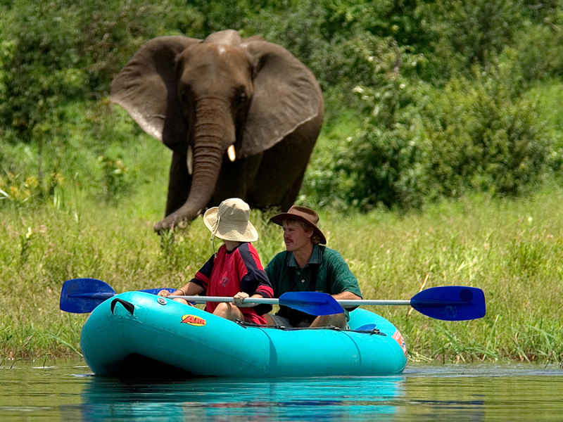 the-elephant-camp-victoria-falls-kayak-olifant