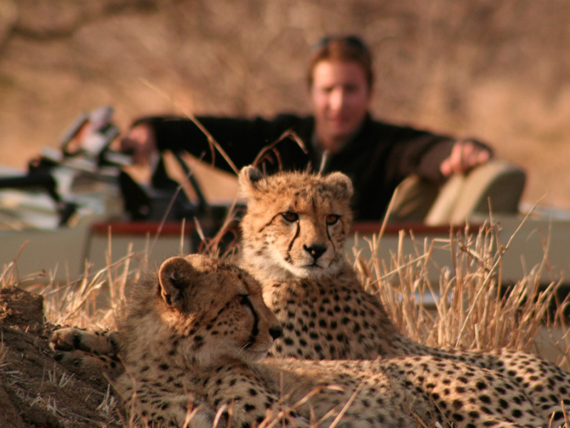 Tintswalo Safari Lodge - Luxe Accommodatie Krugerpark