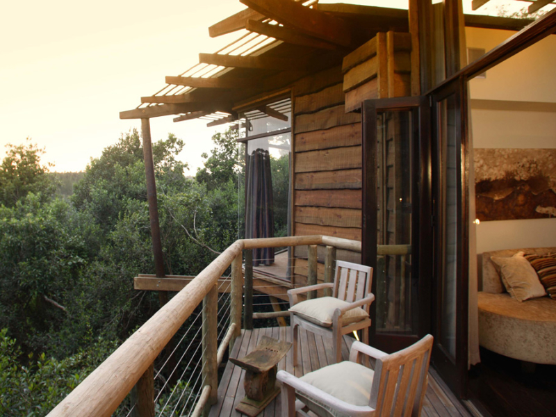 Tsala Treetop Lodge - Luxe Accommodatie Plettenberg Bay