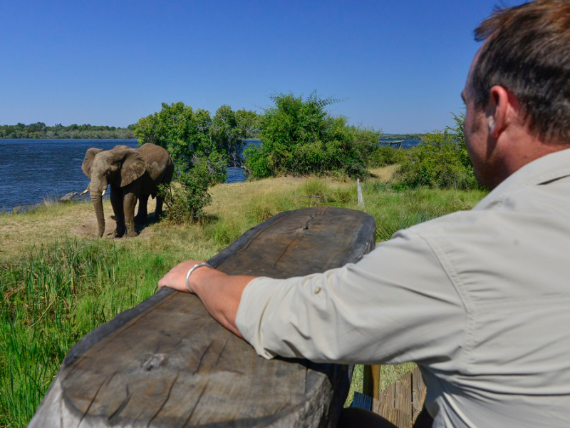 victoria-falls-river-lodge-zambia-olifant