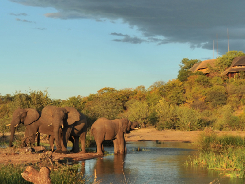 victoria-falls-safari-lodge-zimbabwe