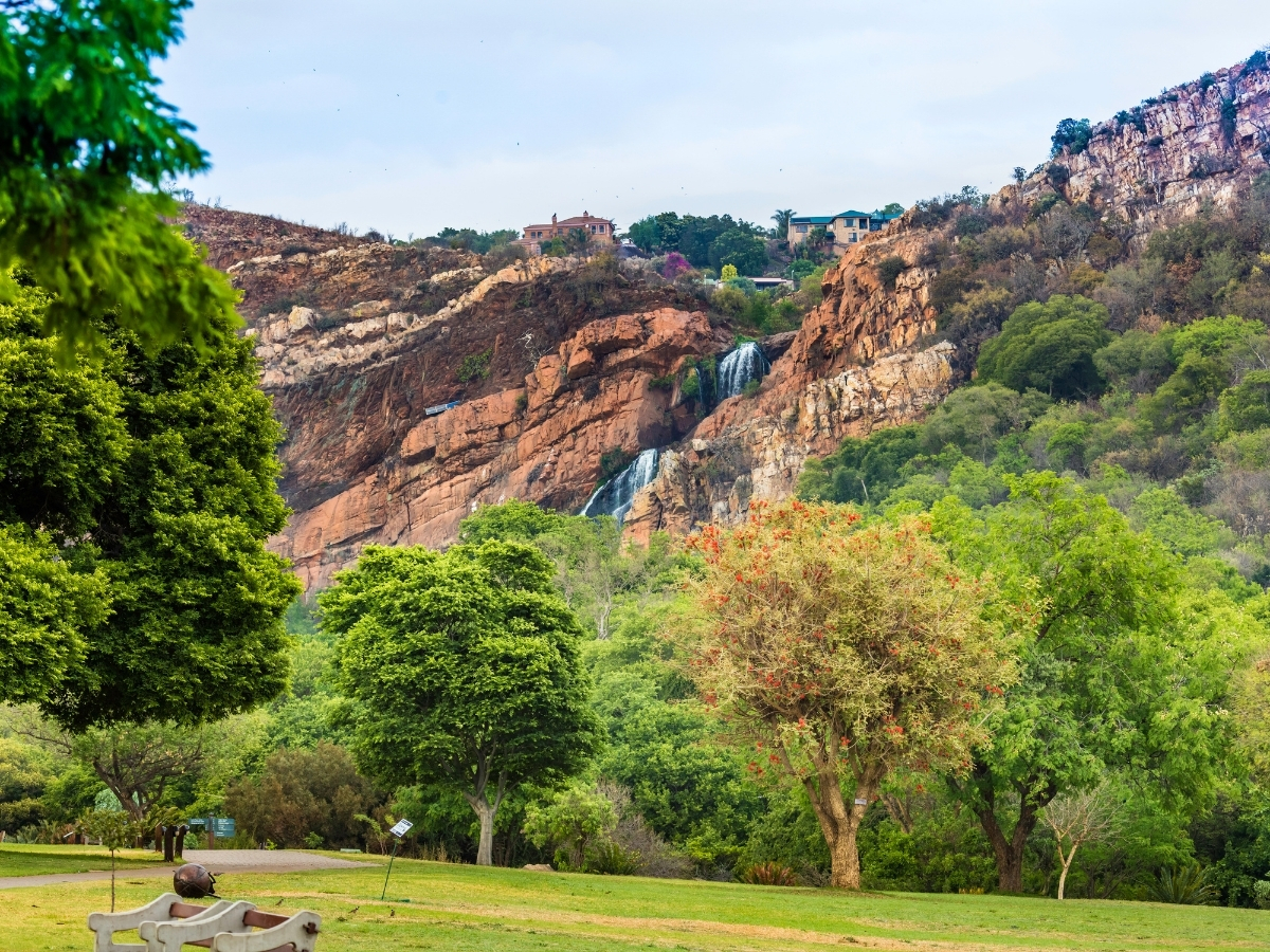 walter-sisulu-national-botanical-gardens-gauteng-south-africa