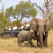 dulini_game_drive