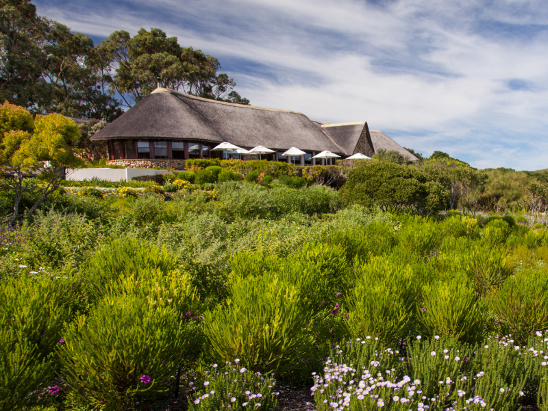 grootbos-accommodation-garden-lodge-exterior-06