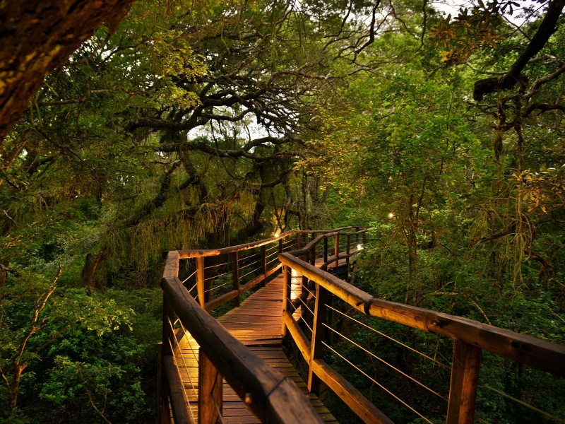 nibela-lake-lodge-wooden-pathway