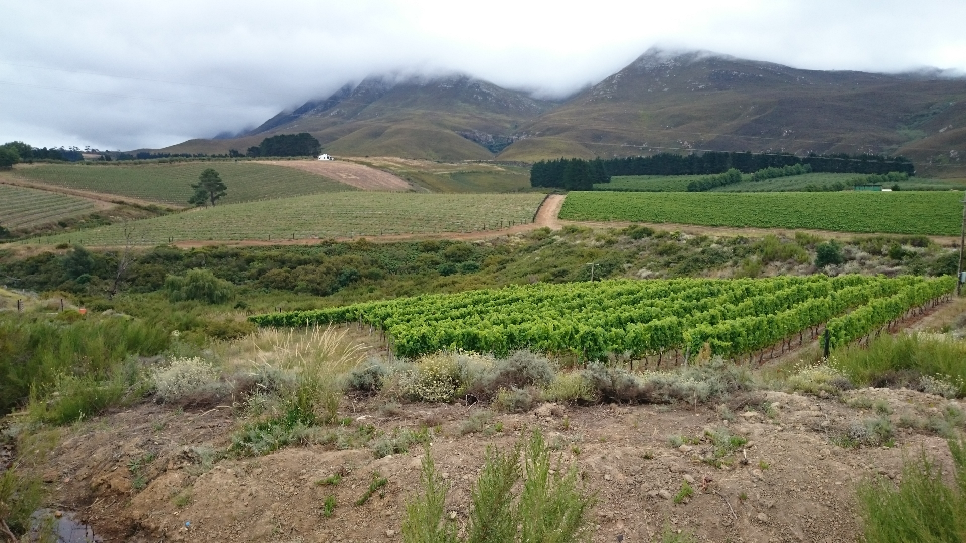 bergpassen-en-bergrouten-in-zuid-afrika-hemel-en-aarde-vallei-wijnvelden