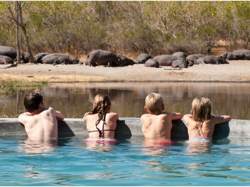 botswana zwembad safari