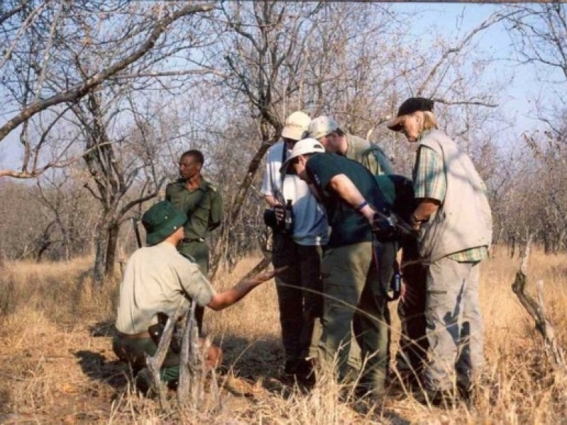 signature safarireizen zuid afrika silver pilanesberg