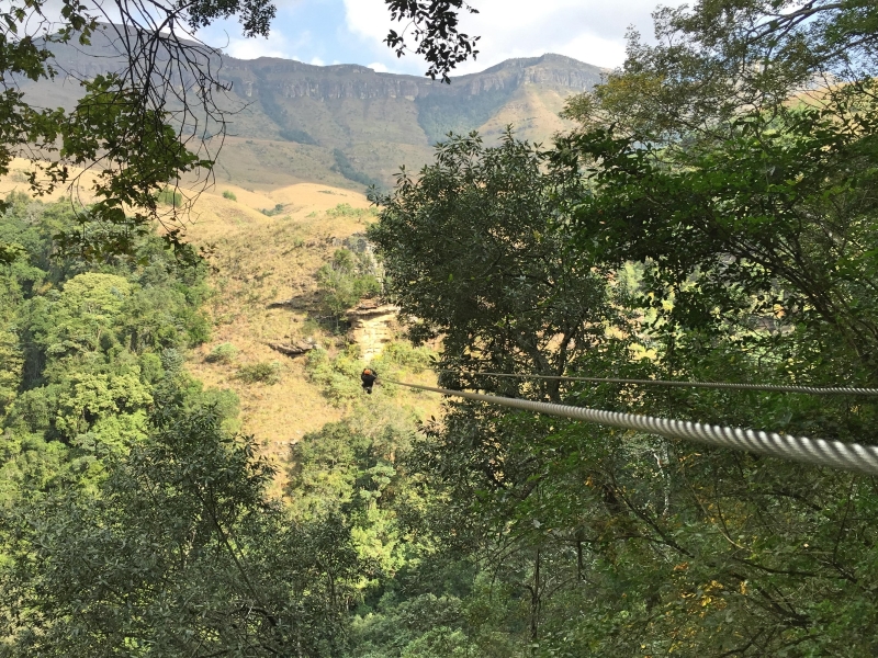 canopy tours en ziplines in zuid afrika gebergte en bos 3