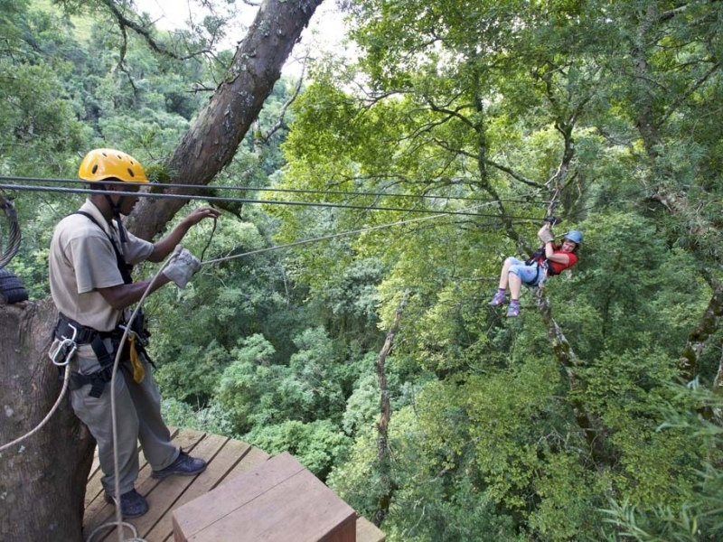 canopy tours en ziplines in zuid afrika wilde bos afrikaanse werknemer