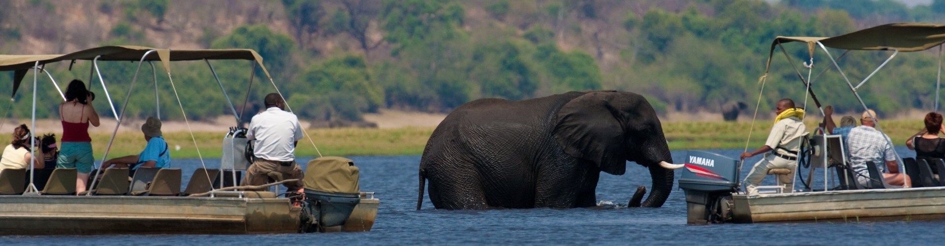 chobe-game-lodge-in-botswana-boot