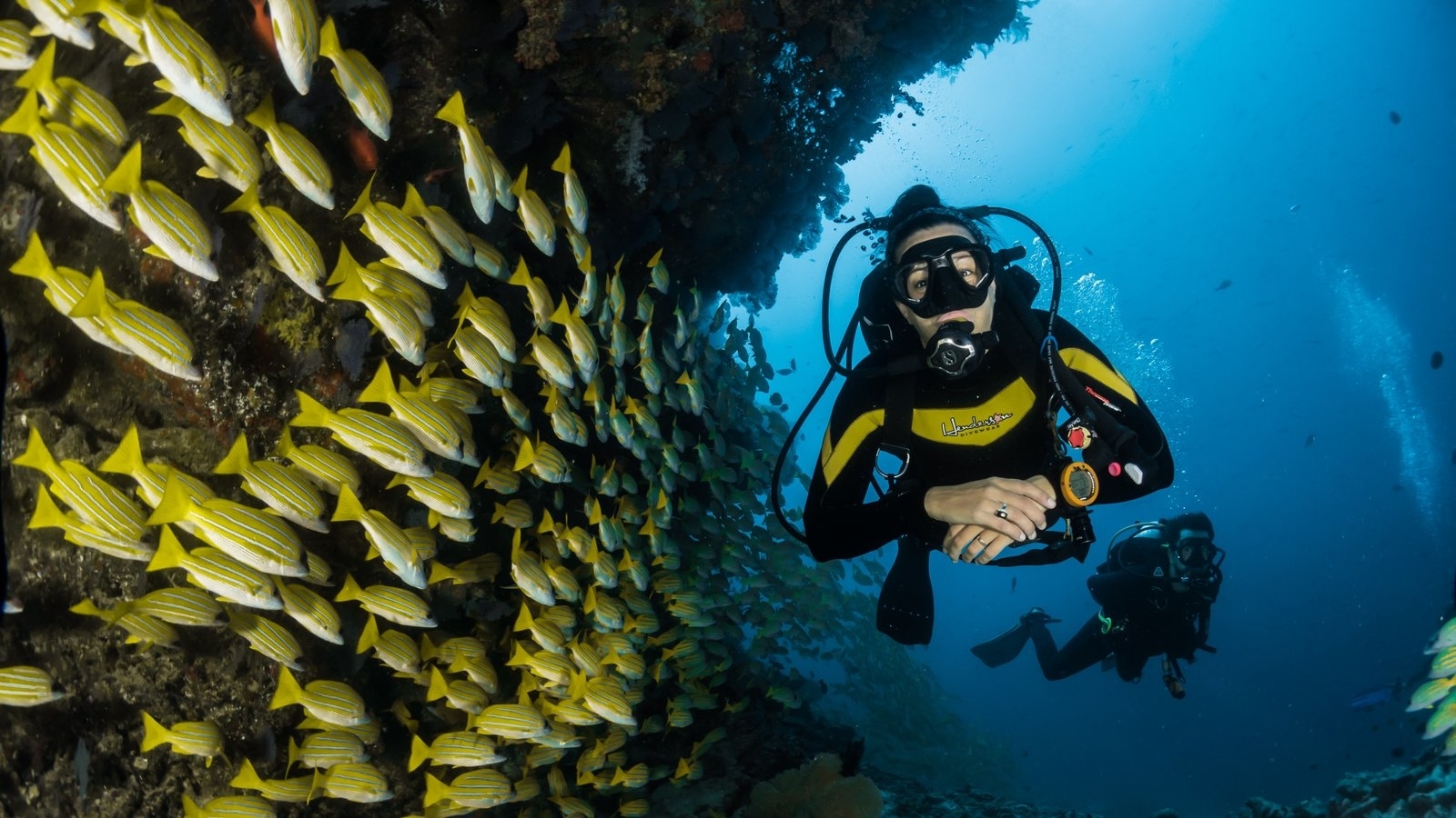 duiken-naast-vissen-en-koralen-zuid-afrika