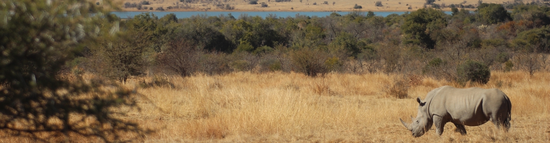 Pilanesberg National Park - Luxe Safari Zuid-Afrika