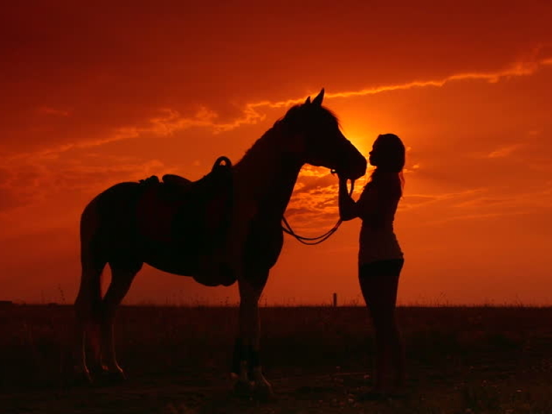 horseback-safari-zuid-afrika