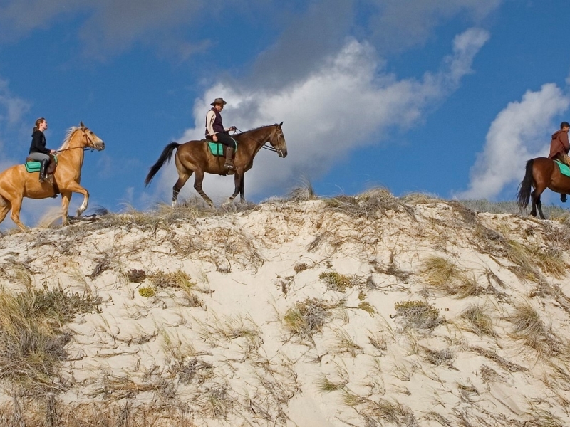 paardrijden in zuid afrika in walker bay reservaat