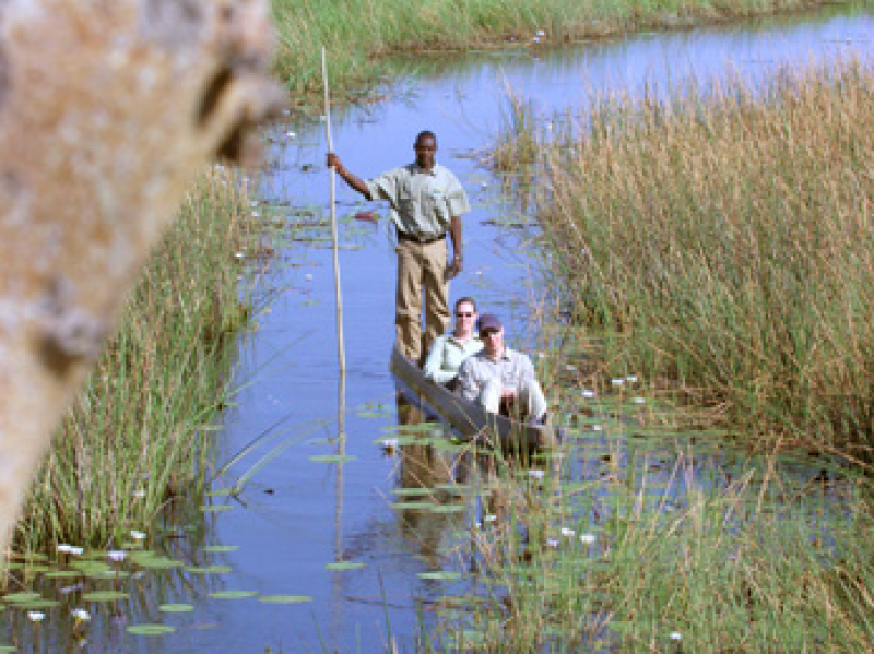 botswana kano tour safari