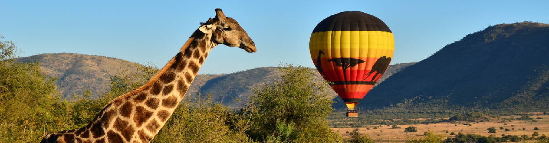 luchtballon varen in zuid-afrika pillansaberg safari