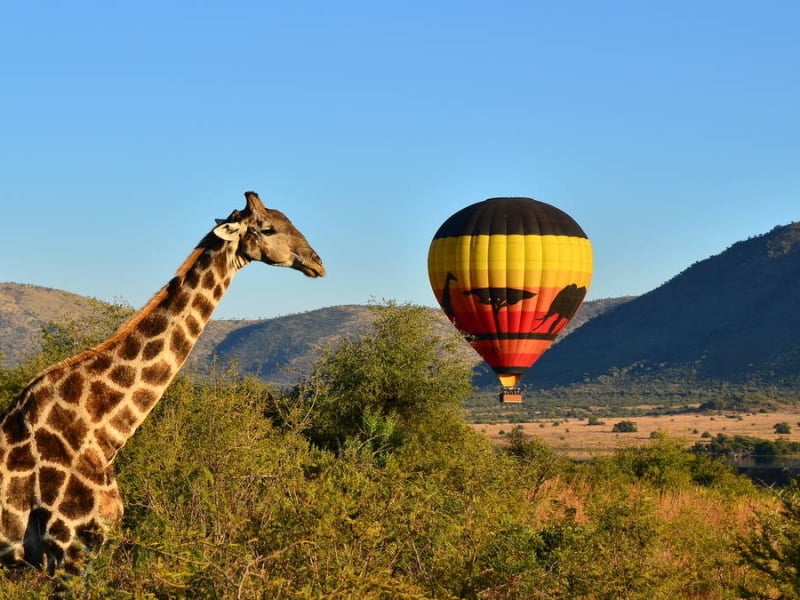 signature safarireizen zuid afrika silver pilanesberg lunchtballon