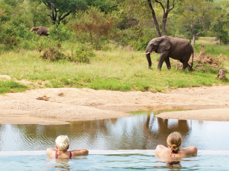 Waar op Safari in Zuidelijk Afrika?