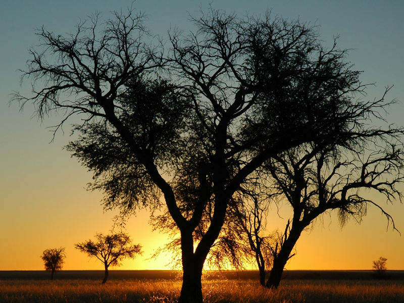 namibie zonsondergang