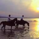 paardrijden in zuid afrika op stranden kaapstad garden route