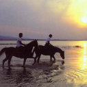 paardrijden in zuid afrika op stranden kaapstad garden route