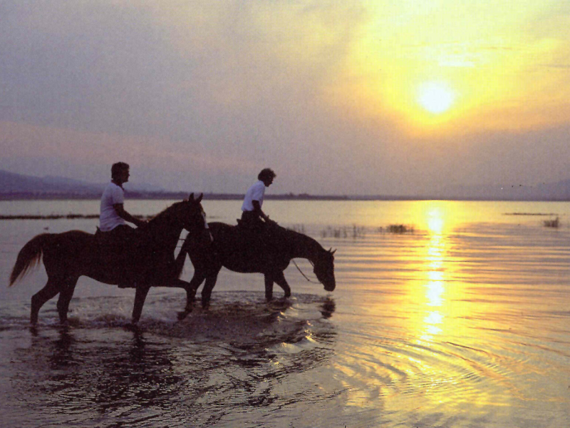 paardrijden in zuid afrika garden route strand zonsondergang