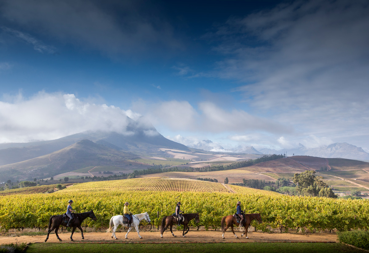 paardrijden in zuid afrika kaapse wijnlanden