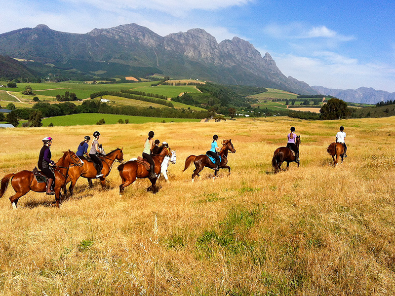 paardrijden-zuid-afrika-cape-winelands-kaapse-wijnlanden