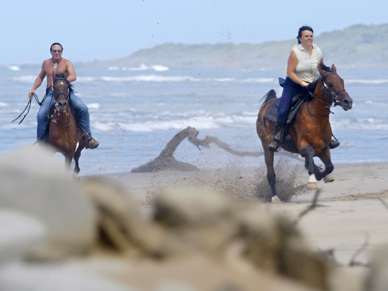 paardrijden in zuid afrika wild coast strand