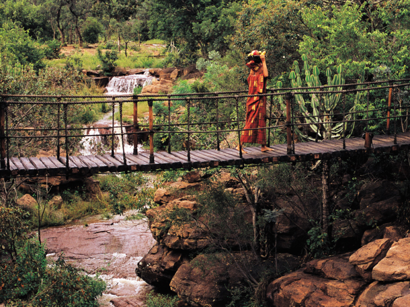 signature-safarireizen-silver-makweti-safari-lodge-welgevonden-private-game-reserve-loopbrug