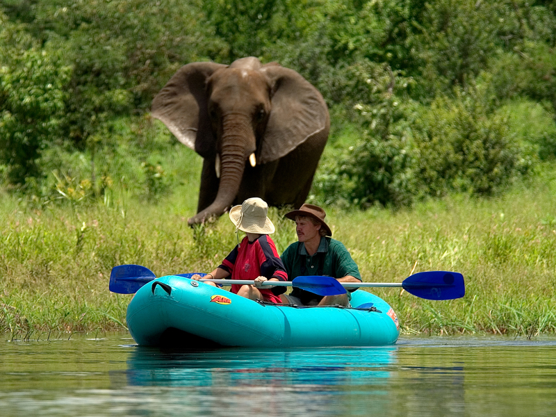 the-elephant-camp-zimbabwe-kanoe