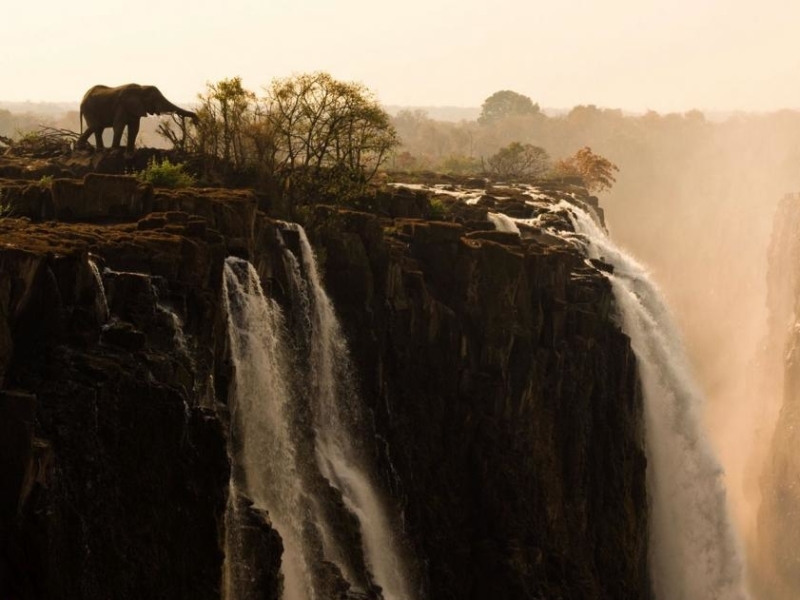 zimbabwe waterval olifant