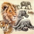 big-five-safari-zuidelijk-afrika