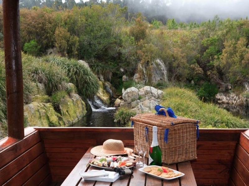 fernery-lodge-picnic-next-to-river