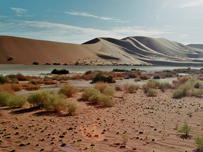 namibië-zandduinen