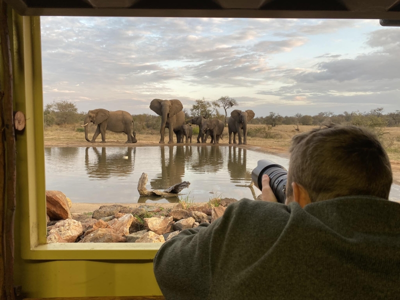 ximuwu-lodge-klaserie-game-lodge-olifanten-fotograferen