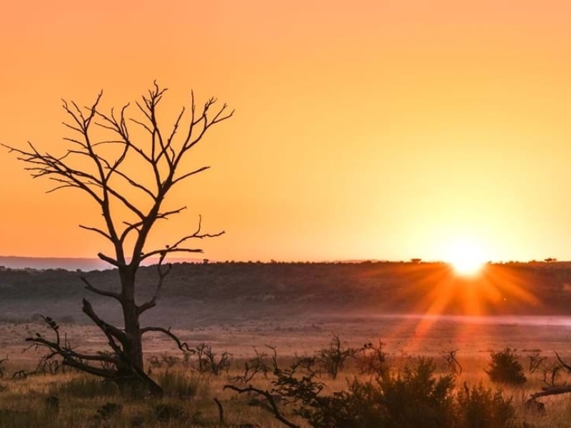 beautiful-sunrises-and-sunsets-in-nambiti-game-reserve-south-africa
