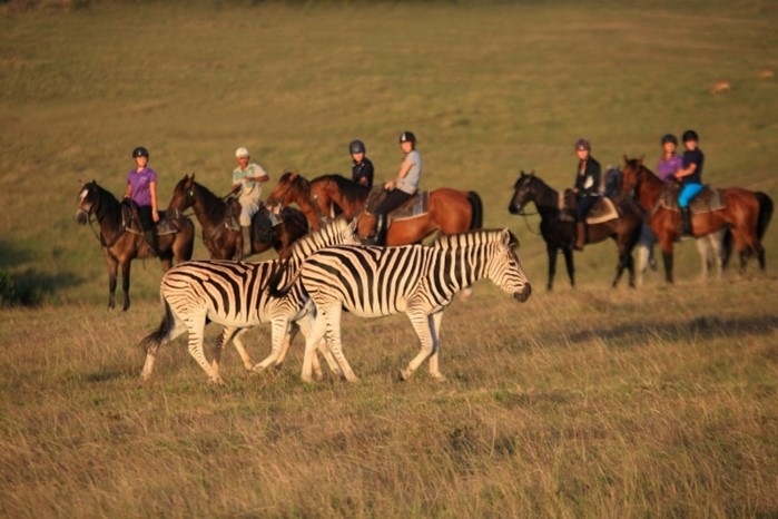 botlierskop-game-reserve-horseback-safaris-activiteiten-garden-route
