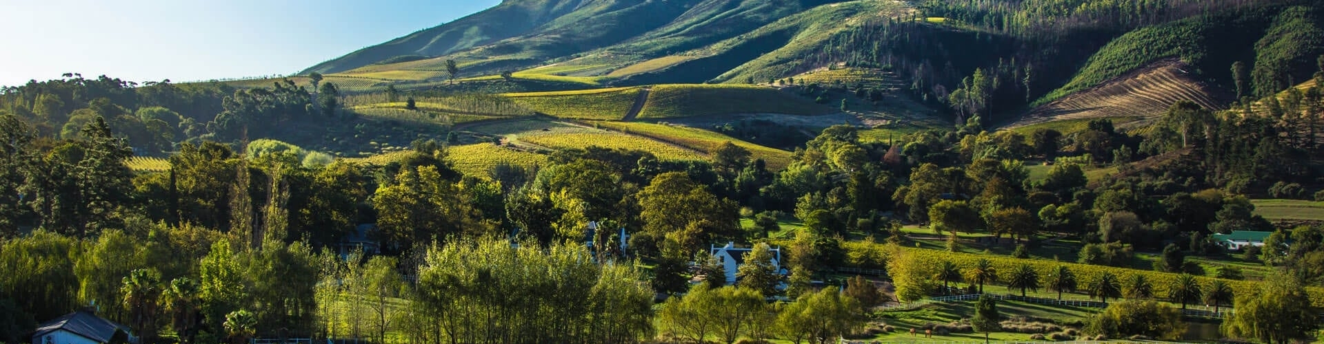 cape-winelands-south-africa
