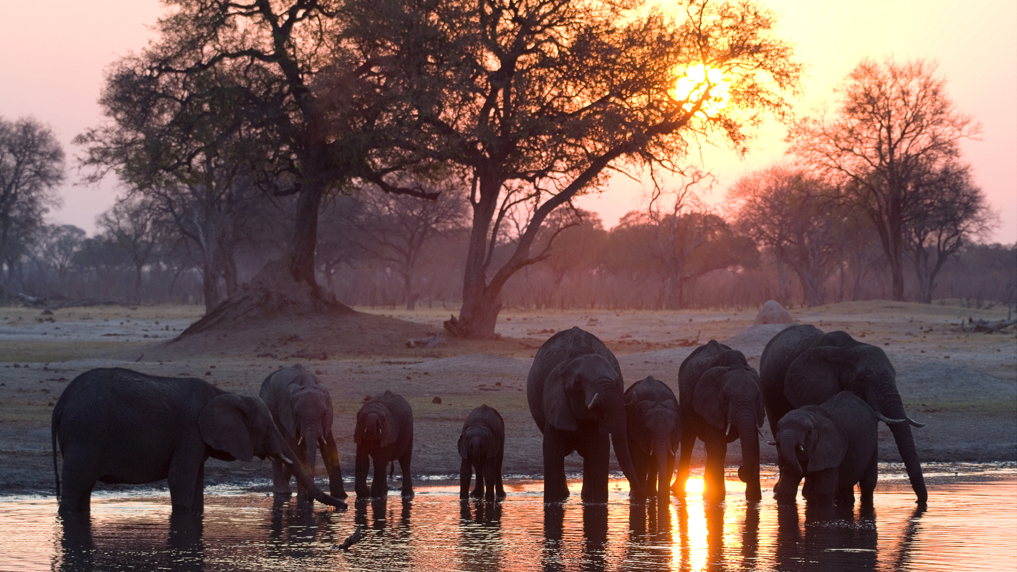 chizarira-np-zimbabwe-elephants-in-river