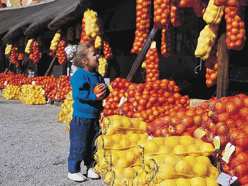 citrus-plantages-uit-de-omgeving-verkopen-op-de-markt-in-nelspruit