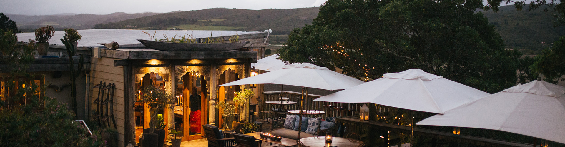emily-moon-river-lodge-header-at-night