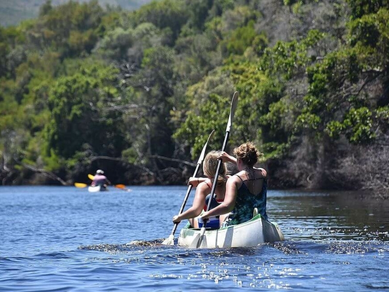 fynbos-on-sea-knysna-kayaken