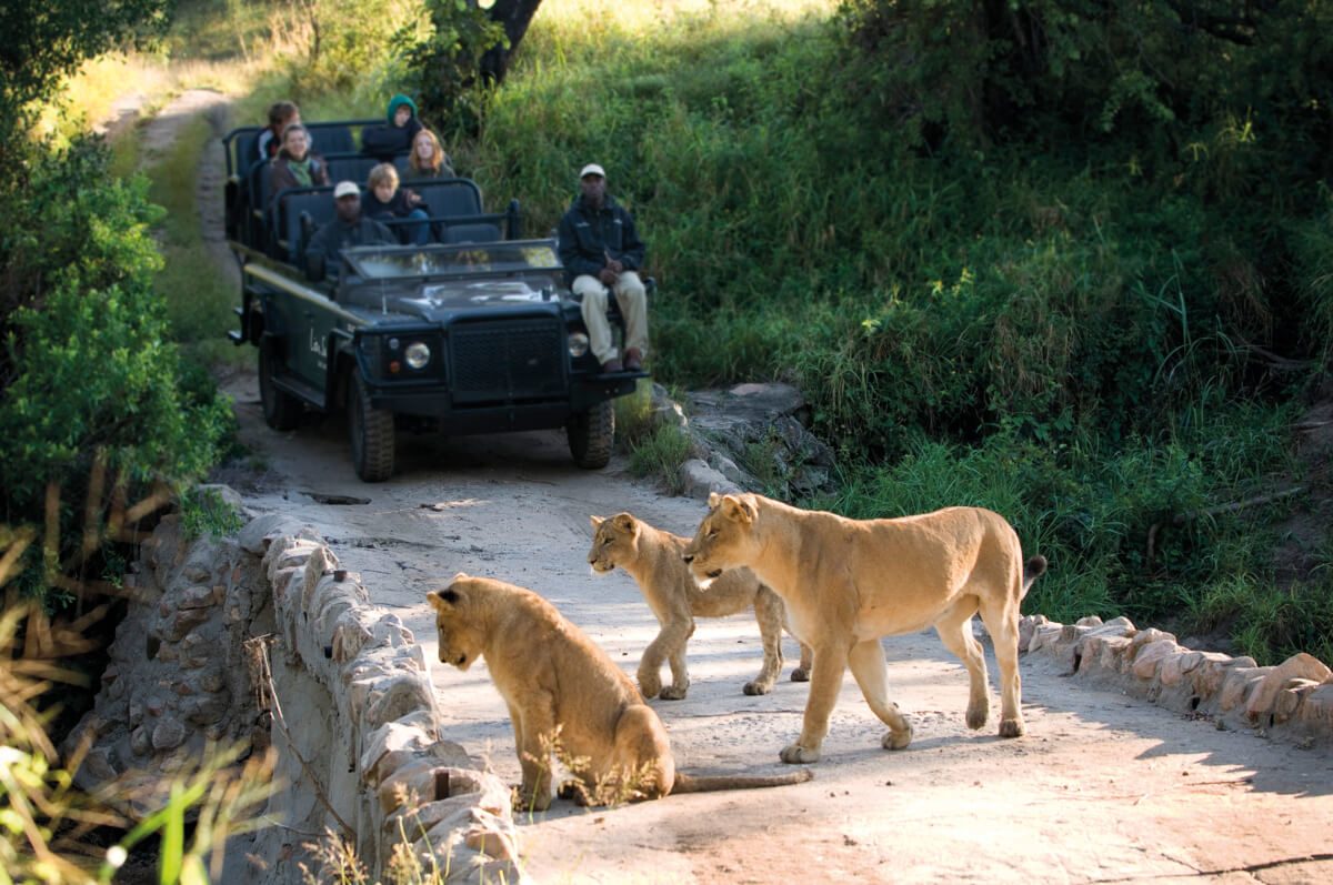 Het Lion Sands Game Reserve is gelegen in het Sabi Sands Game Reserve