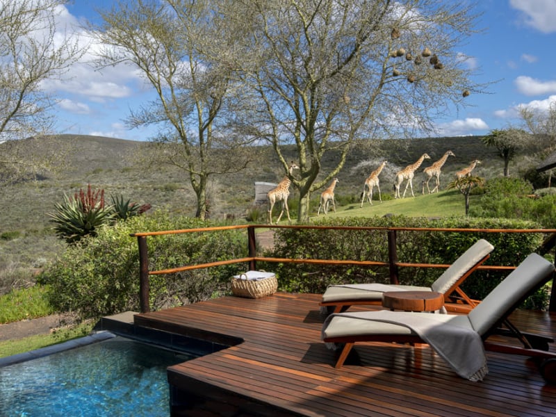 melozhori-private-game-reserve-lodge-lounge