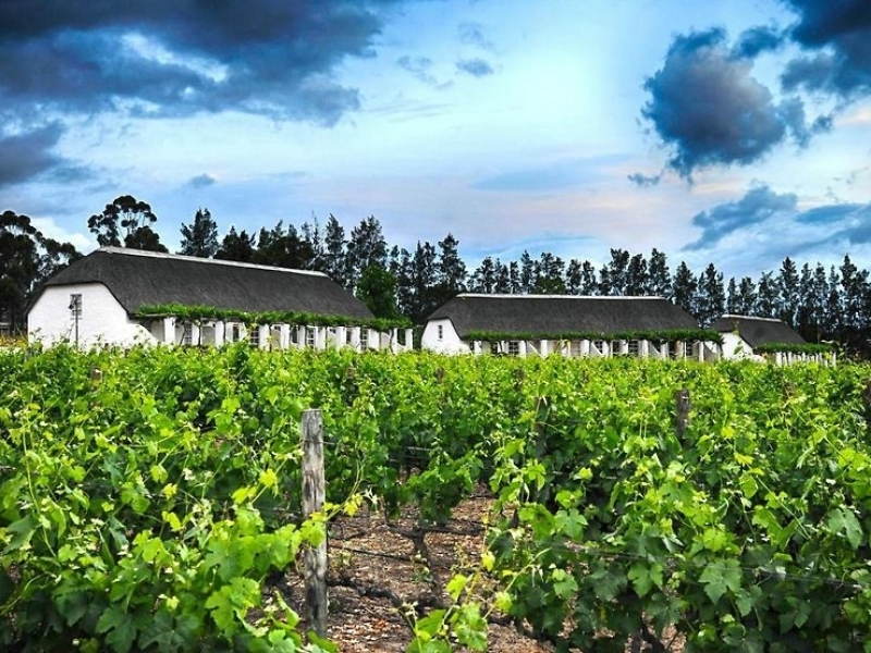 rijks-country-house-tulbagh-view-from-vineyard
