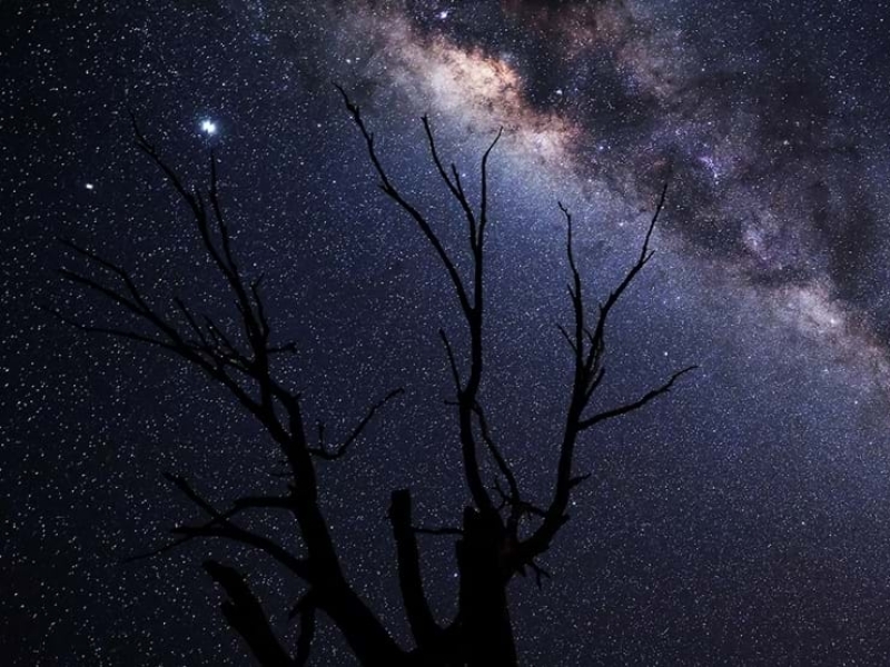 stargazing-in-nambiti-game-reserve-south-africa
