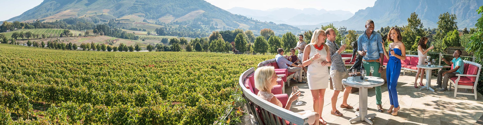 Cape-Winelands
